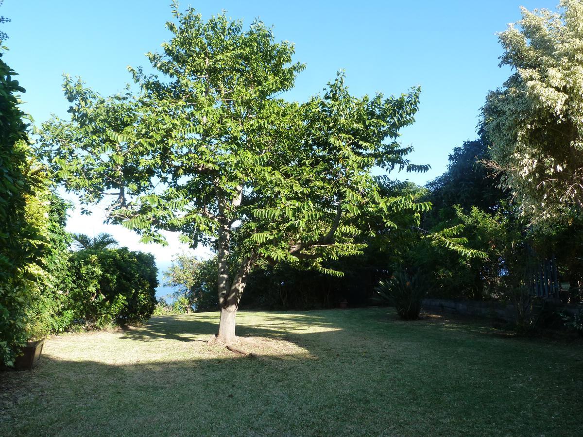 Villa Flamboyant Le Portail Esterno foto